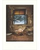 ROH HOJNOSTI - Jan Saudek